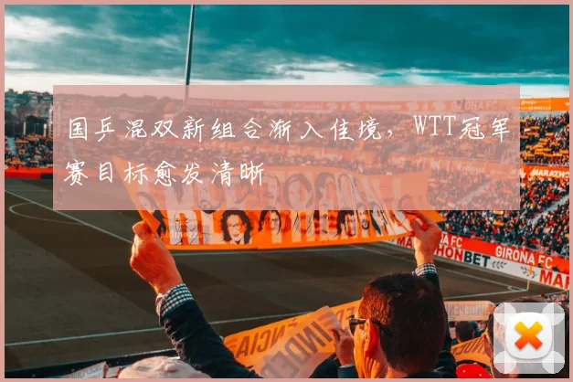 国乒混双新组合渐入佳境，WTT冠军赛目标愈发清晰 - 88看球