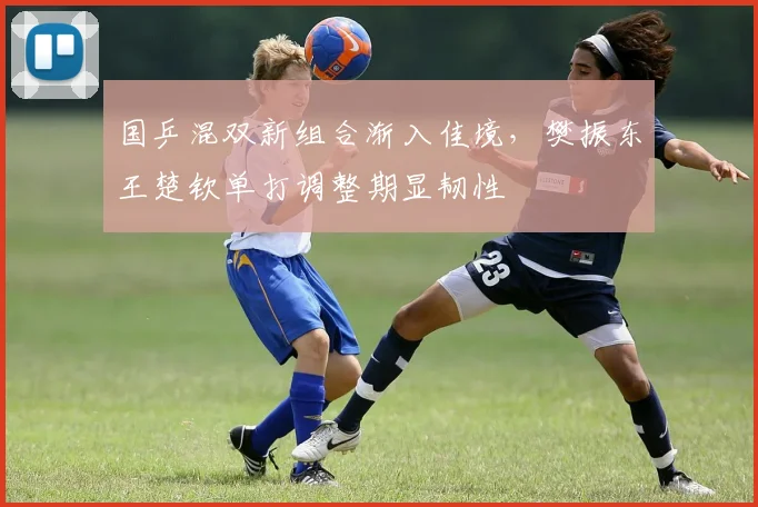 国乒混双新组合渐入佳境，樊振东王楚钦单打调整期显韧性 - 88看球