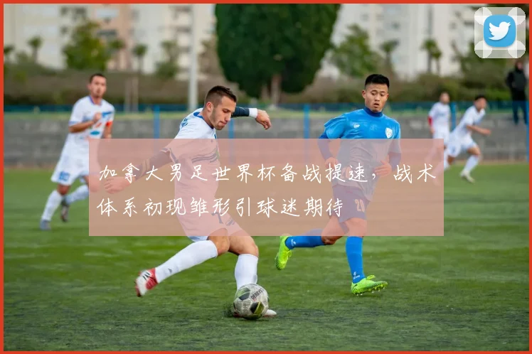 加拿大男足世界杯备战提速,战术体系初现雏形引球迷期待